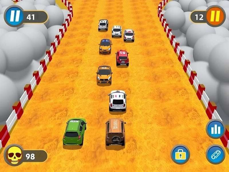 Indian Rally Blitz Control Scheme